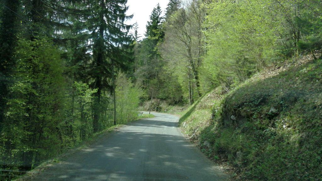 View at km 14.7