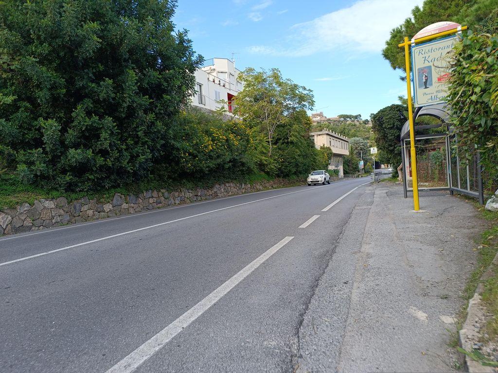 View at km 229.4
