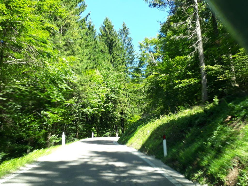 View at km 1.3