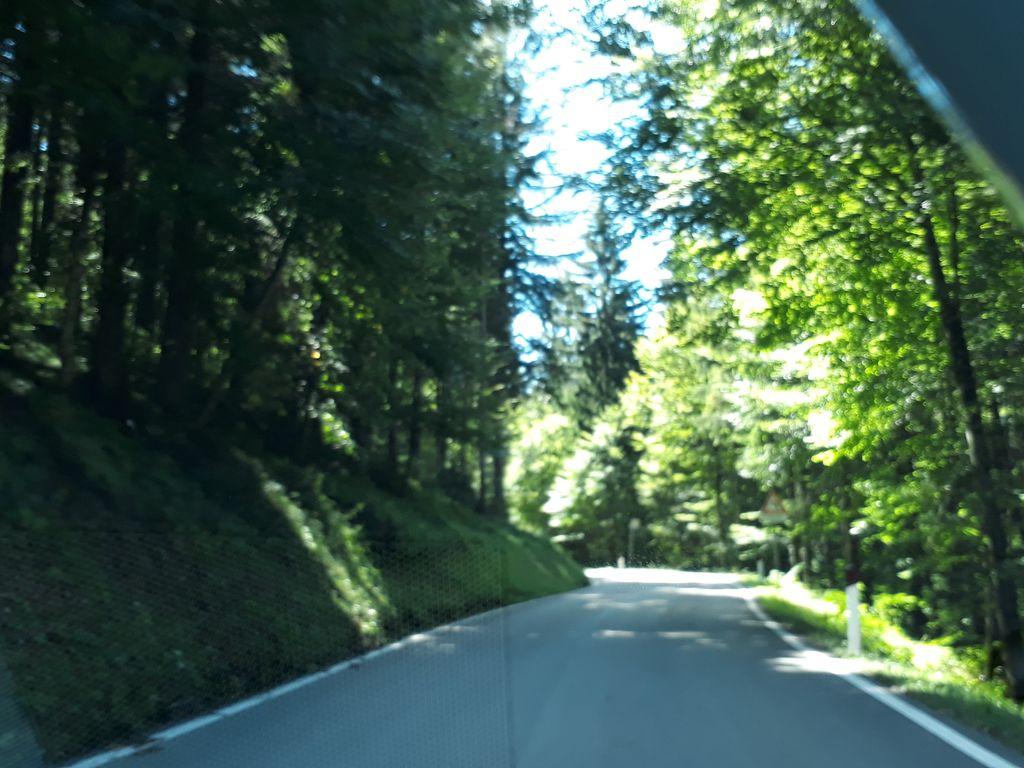View at km 2.3