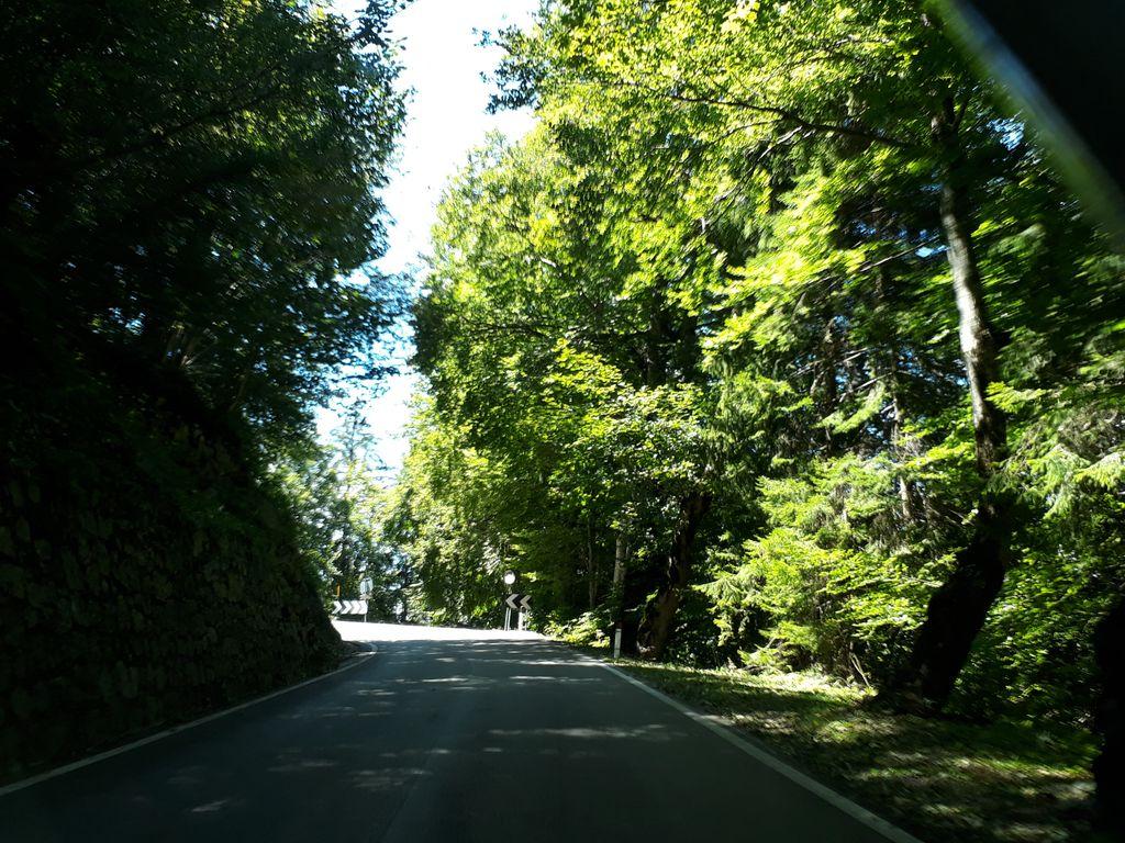 View at km 6.5