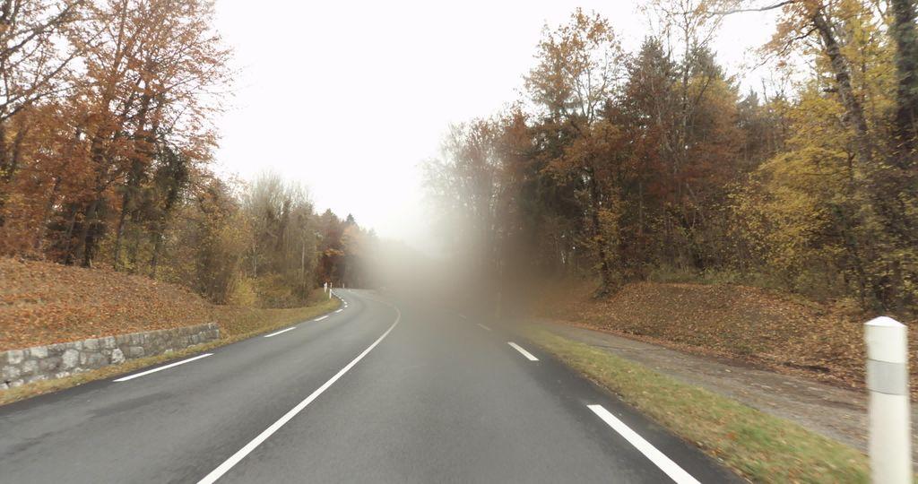View at km 1.9