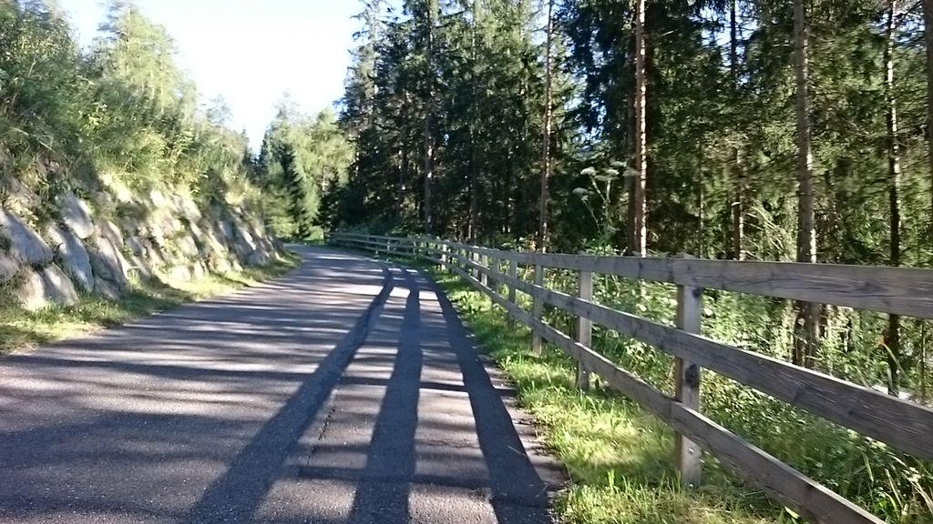 View at km 0.3
