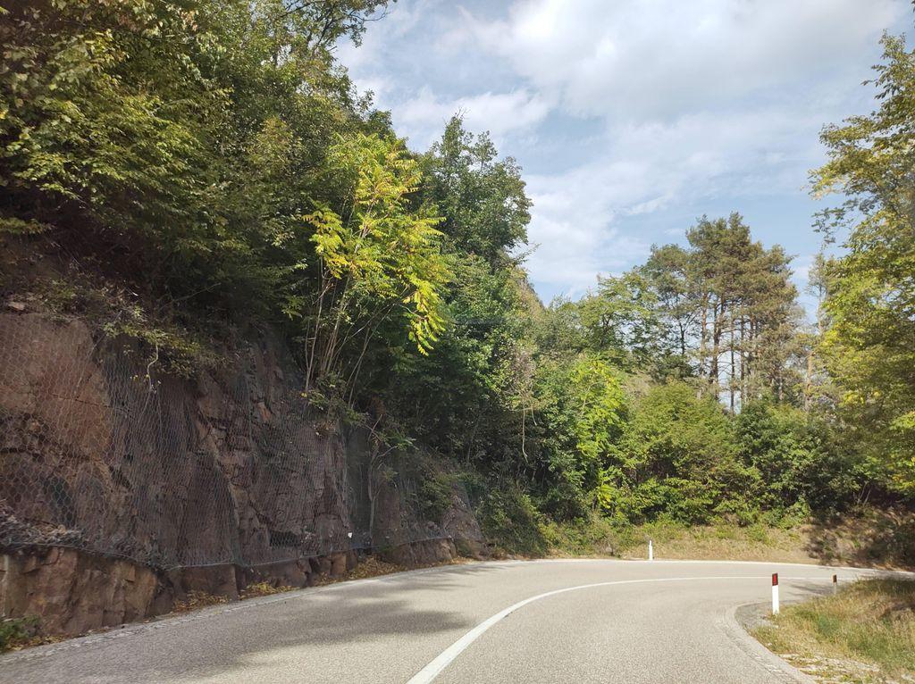 View at km 8.5