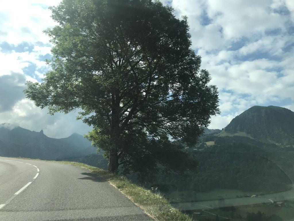 View at km 5.6