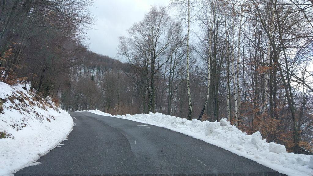 View at km 11.2