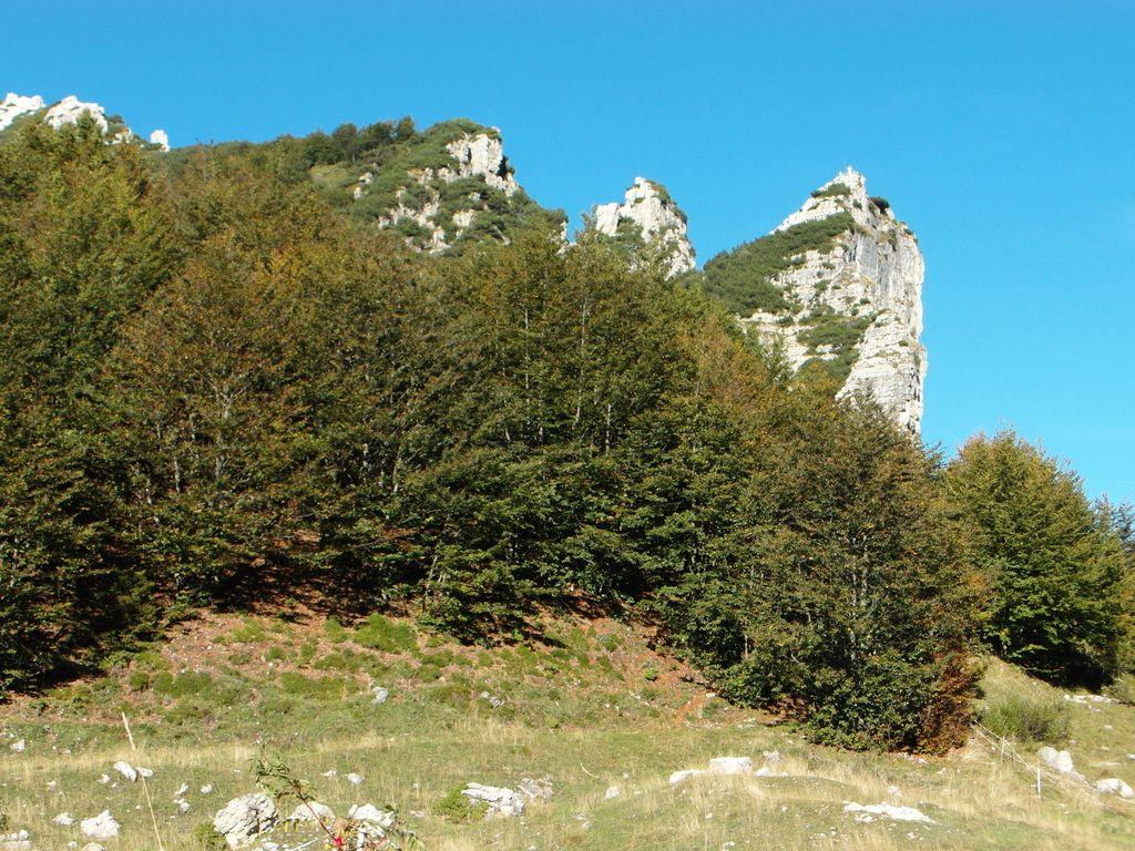 View at km 11