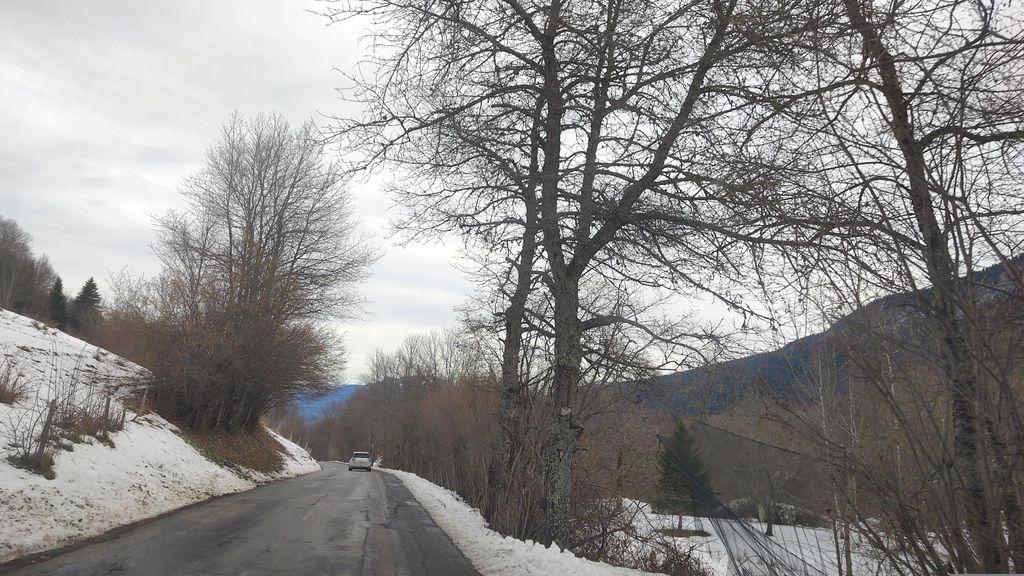 View at km 11.7