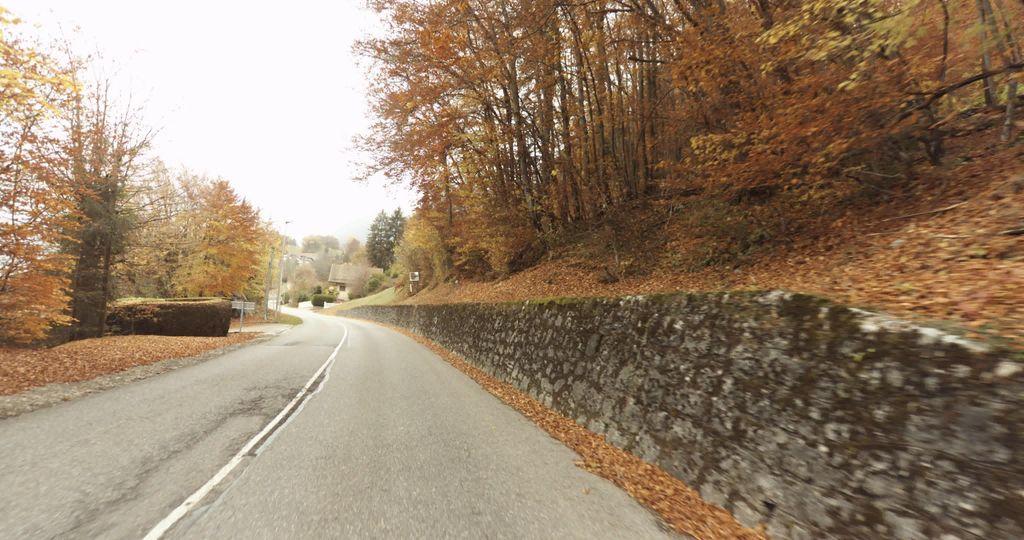 View at km 1.3