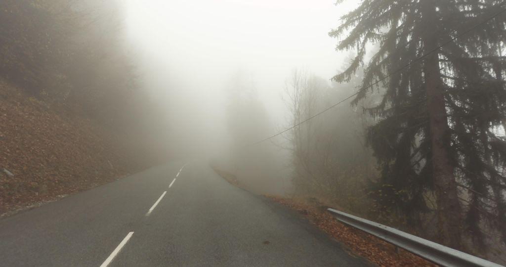 View at km 8