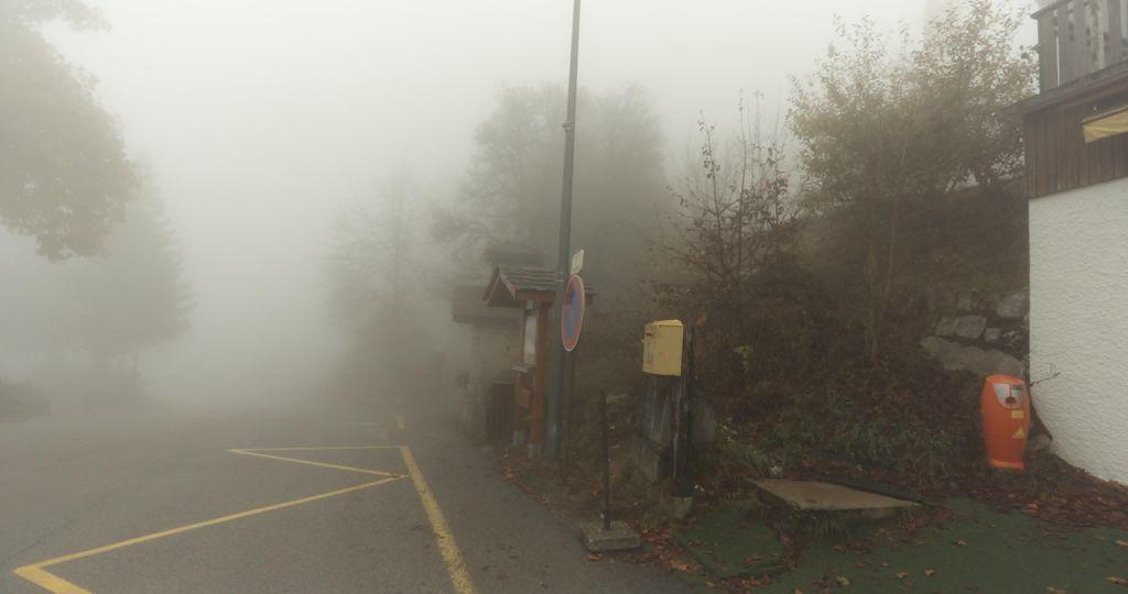 View at km 8.3
