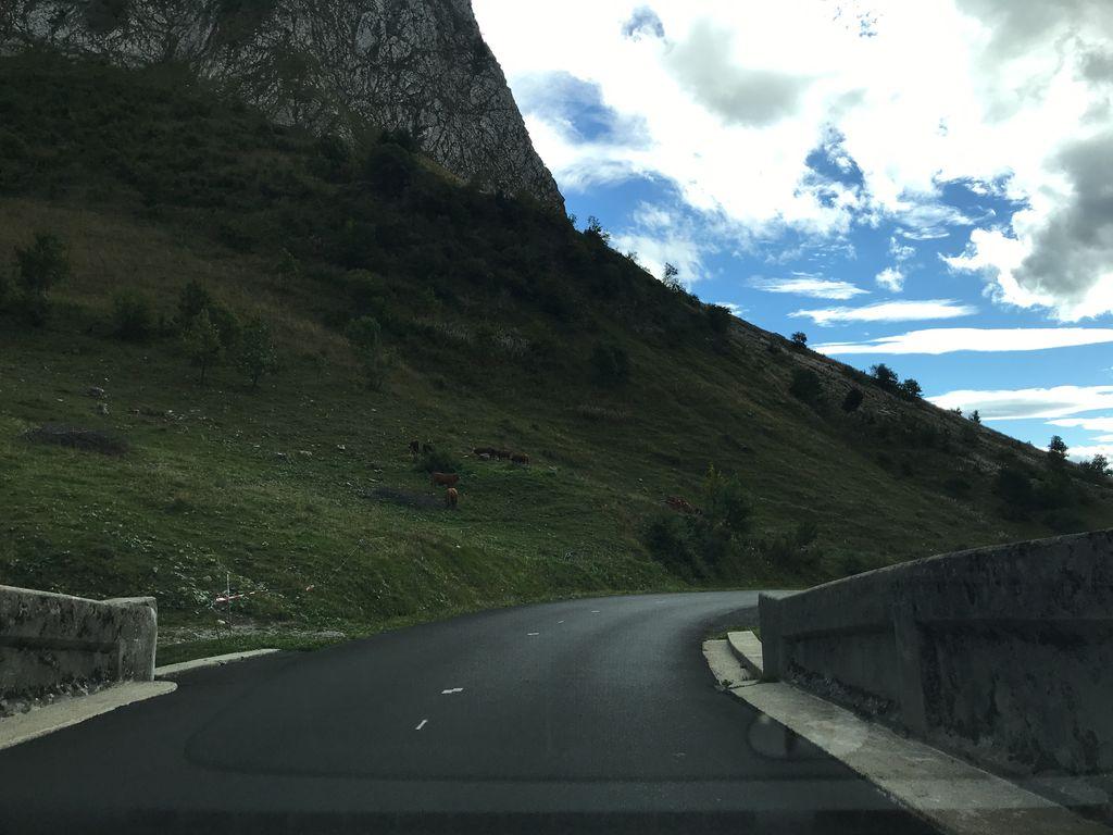 View at km 11.8