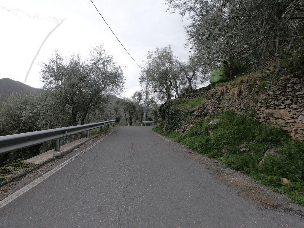 View at km 9