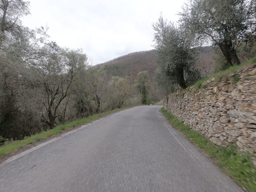 View at km 9.5