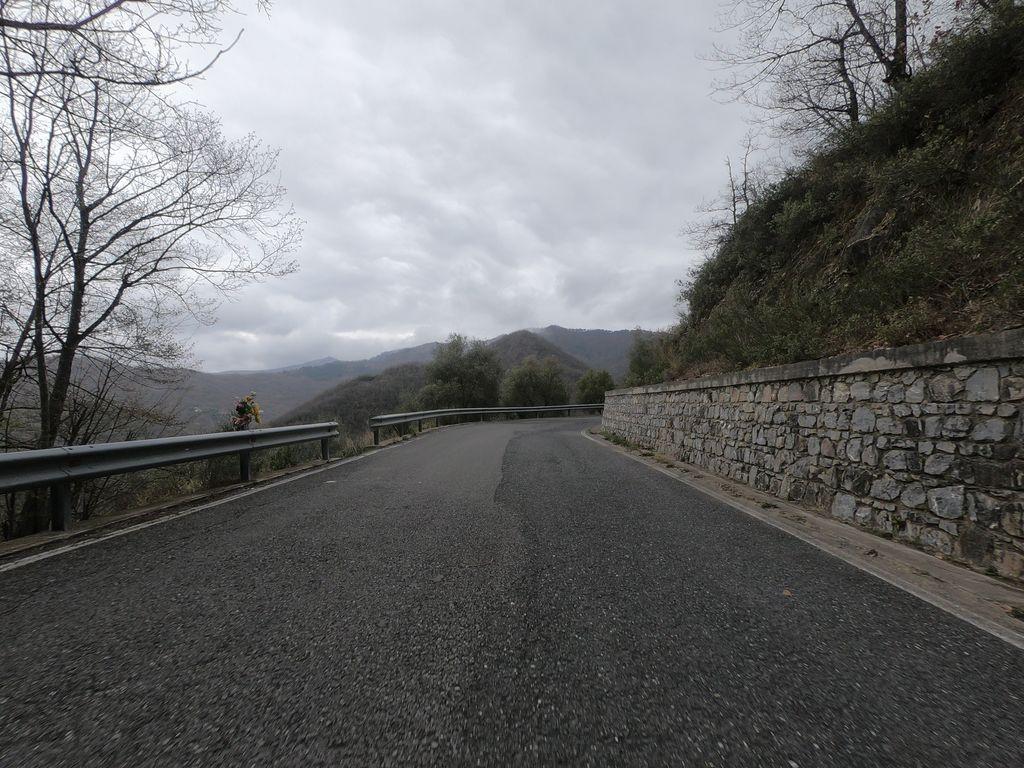 View at km 11.1