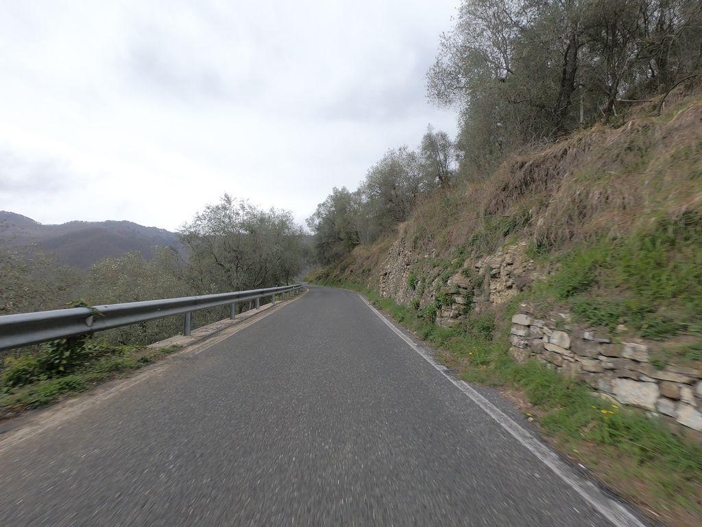 View at km 11.6