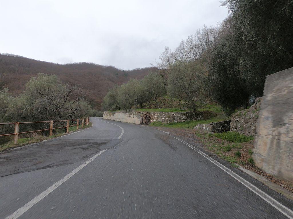 View at km 12.6