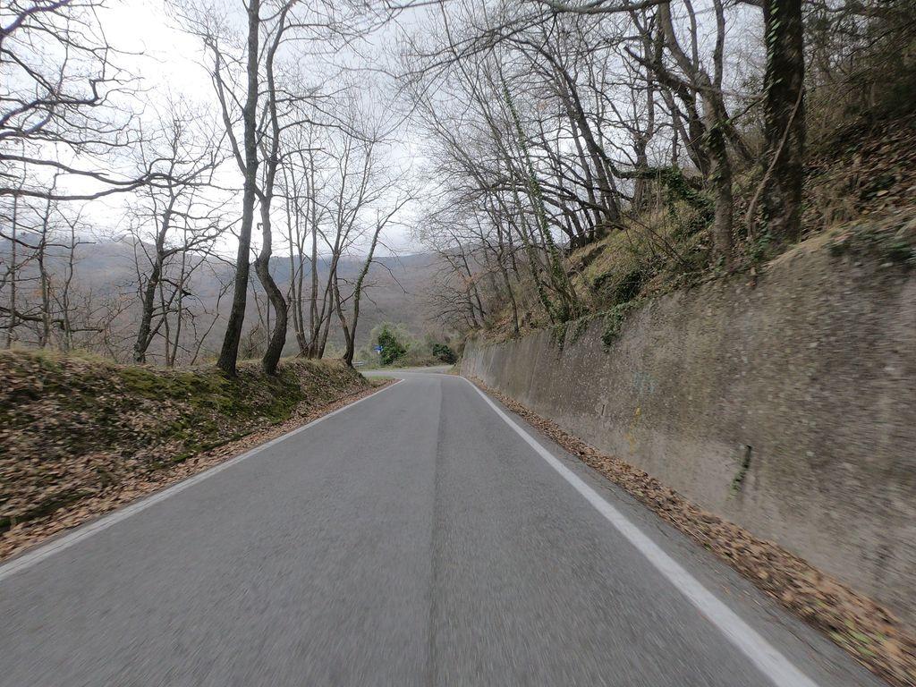 View at km 11.1