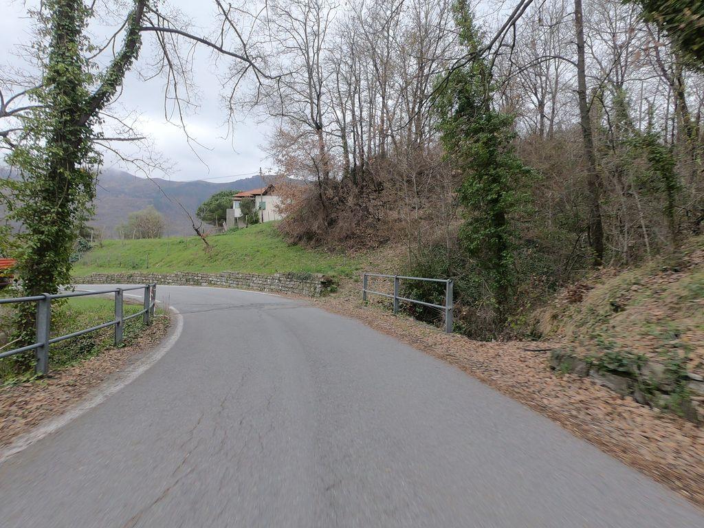 View at km 11.6