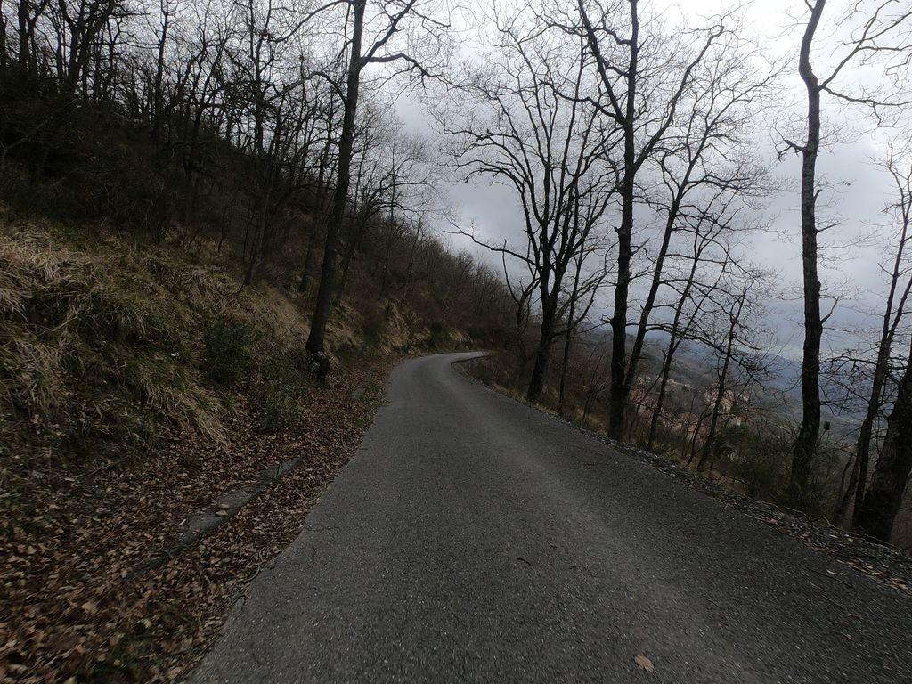 View at km 14.1