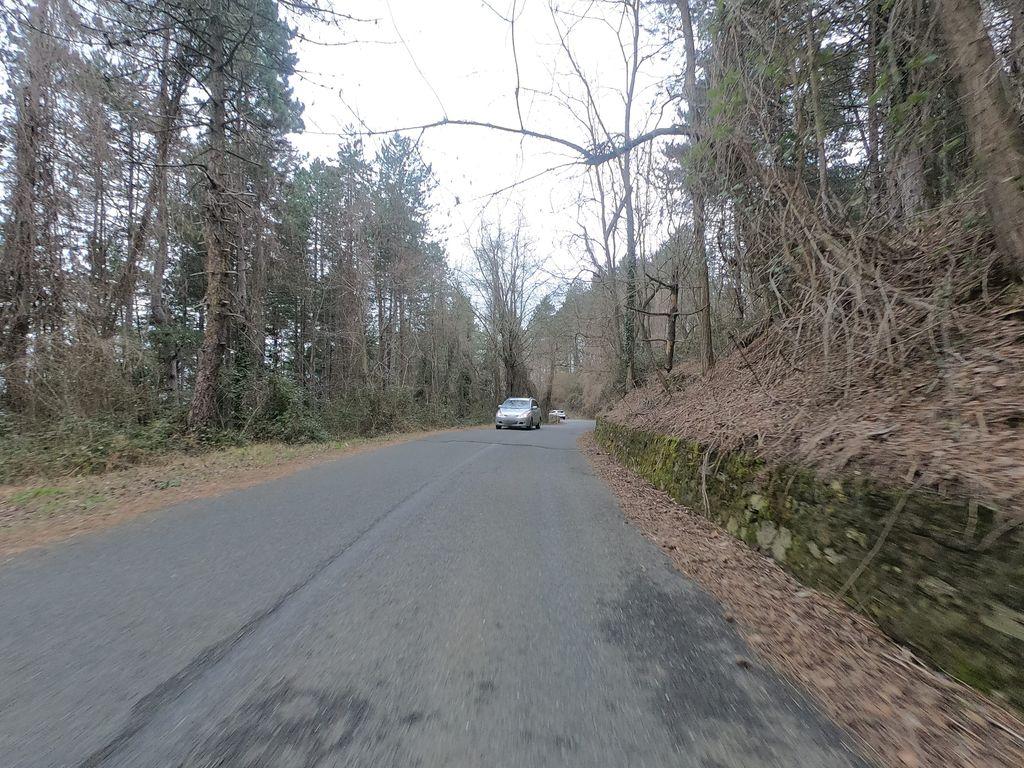 View at km 14.6