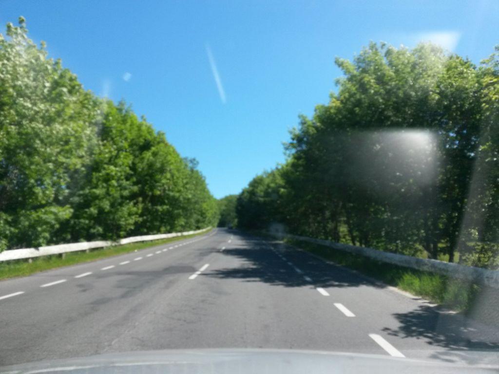 View at km 5