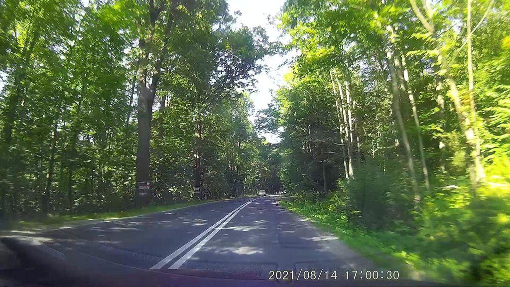 View at km 7.1