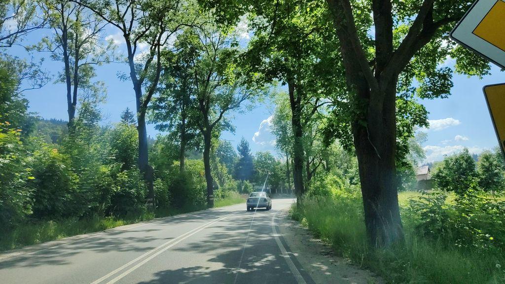 View at km 5.4