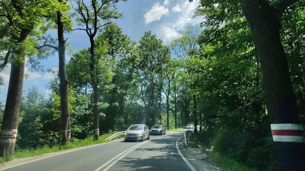 View at km 8.5