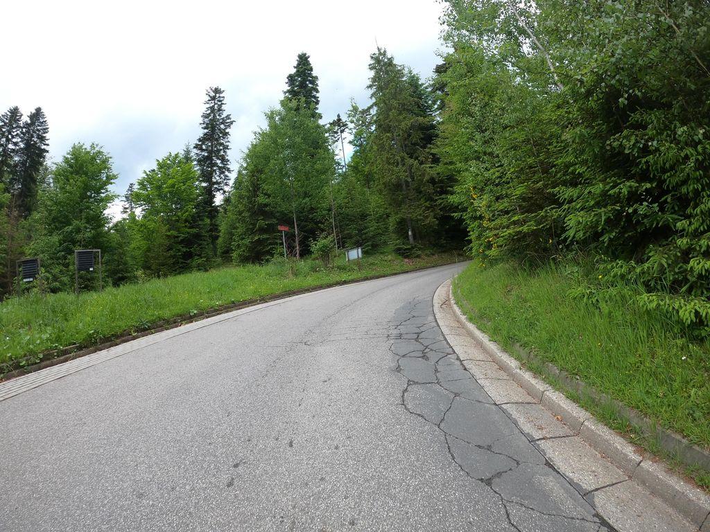 View at km 3.1