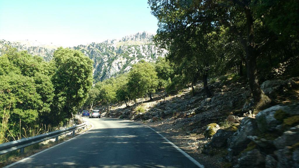 View at km 0.8