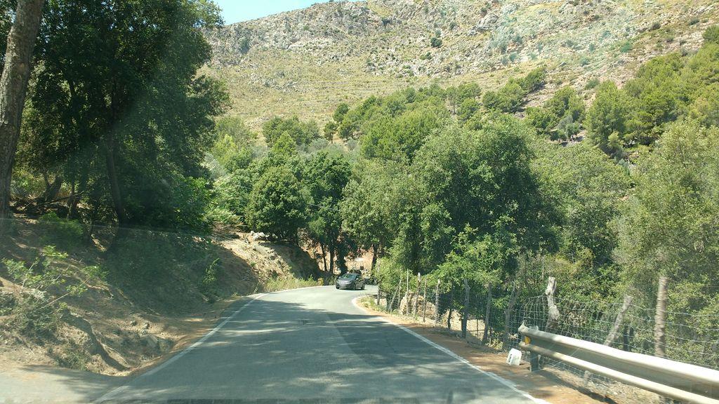 View at km 0.8