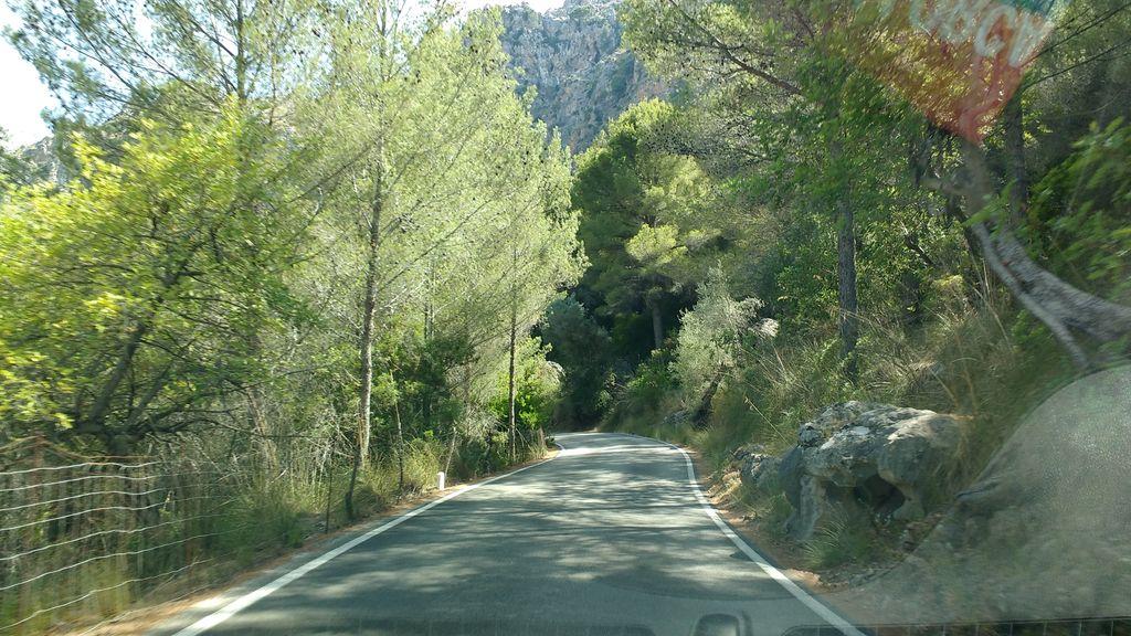 View at km 1.3