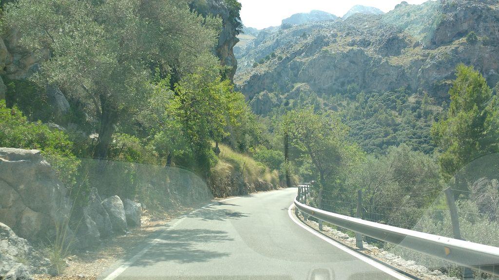 View at km 2.3