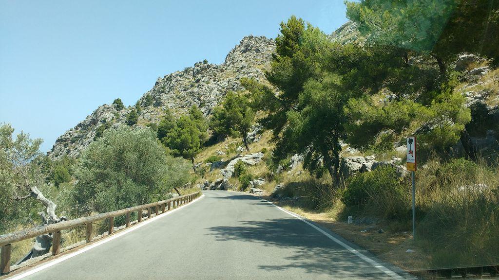 View at km 4.4
