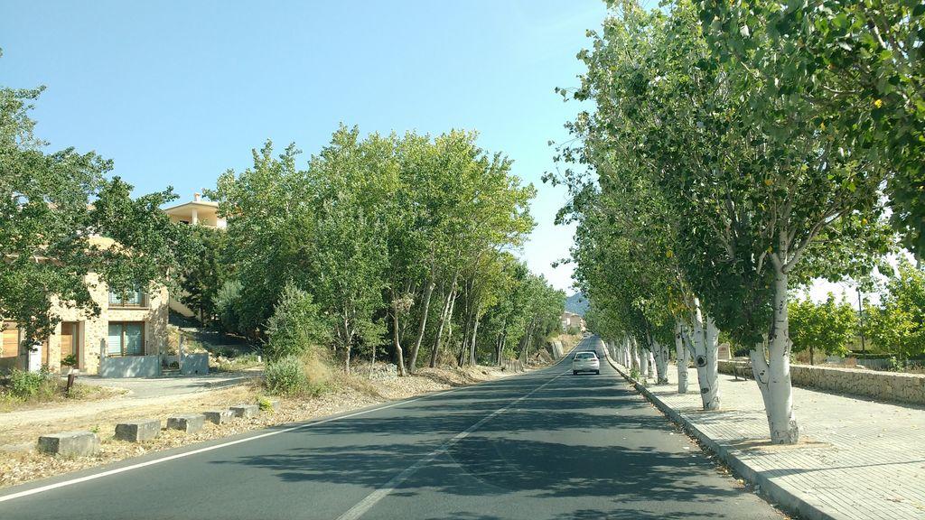View at km 1.8