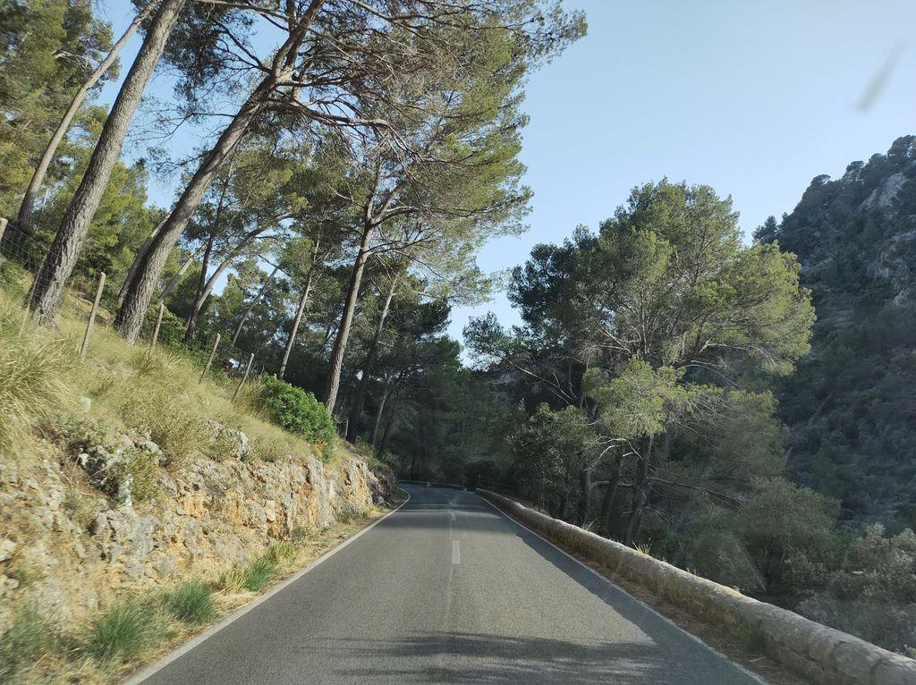 View at km 4.9