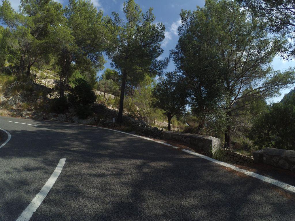 View at km 8