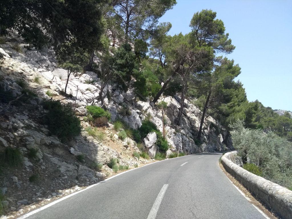 View at km 8.5