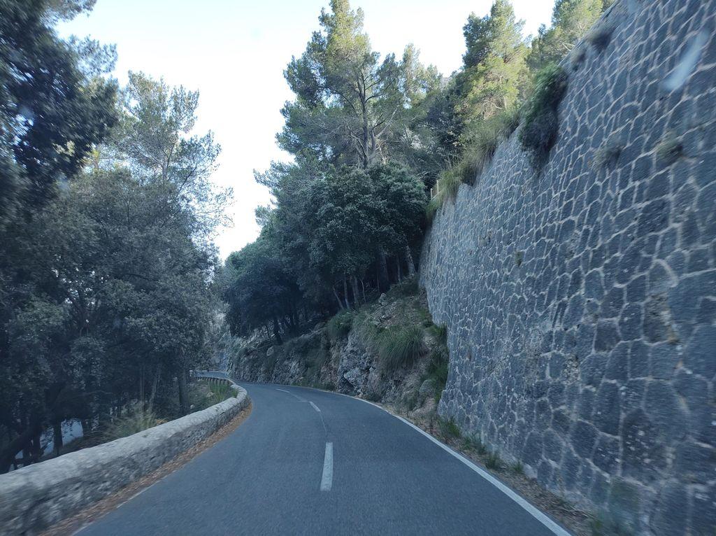 View at km 11