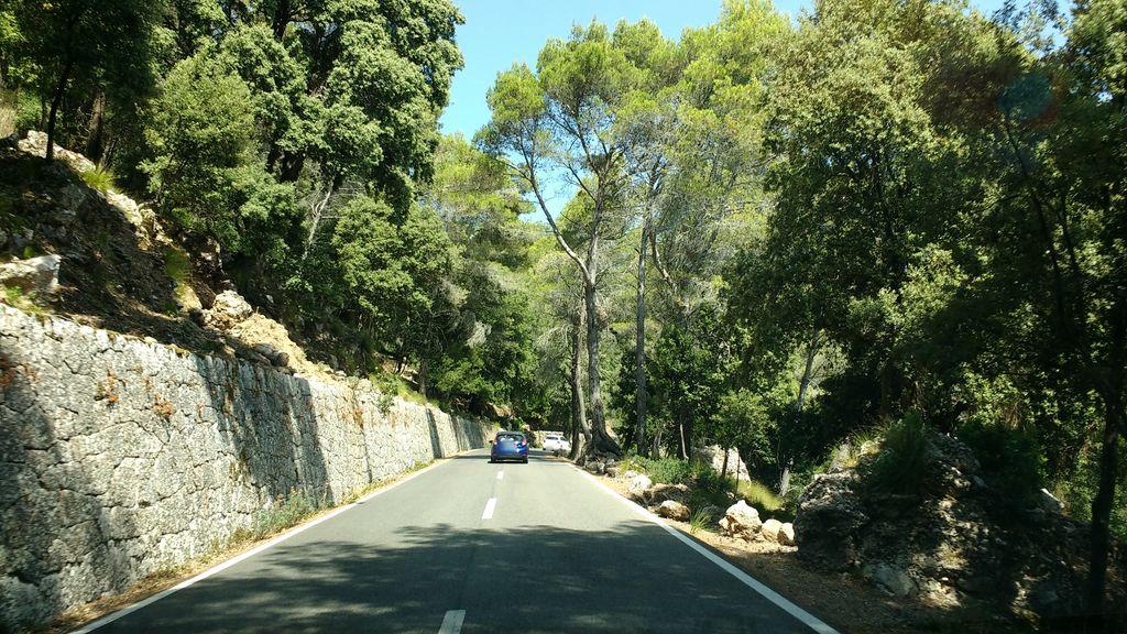 View at km 11.5