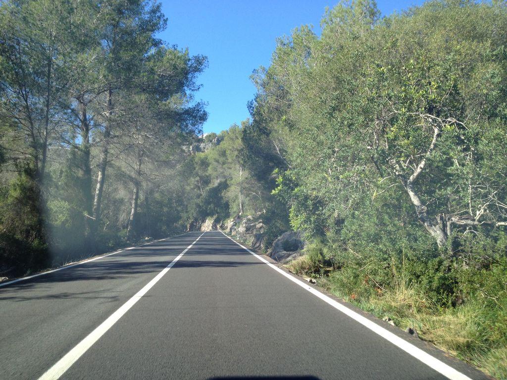 View at km 1.8