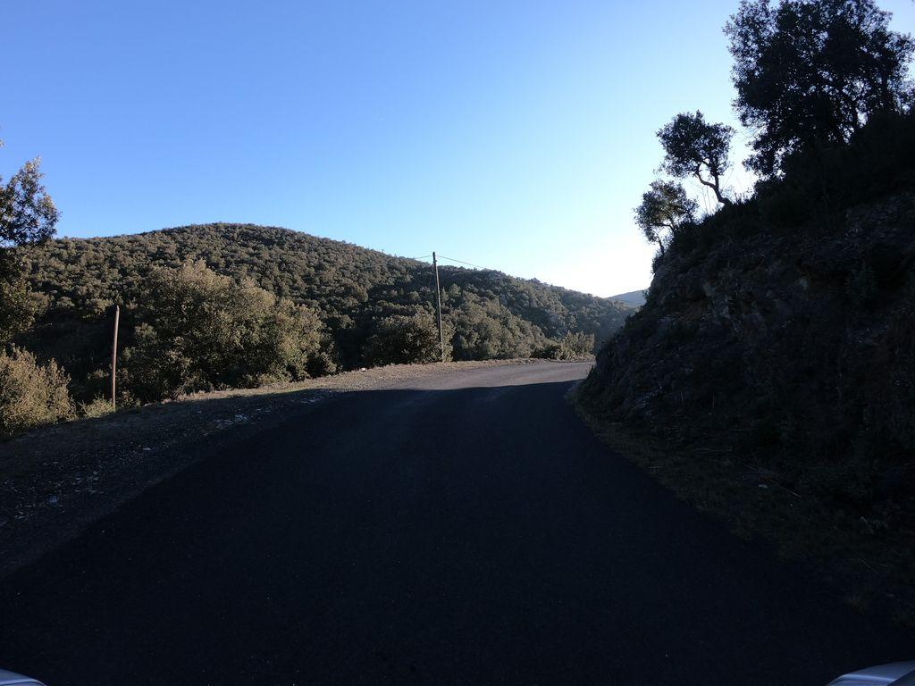 View at km 11.4