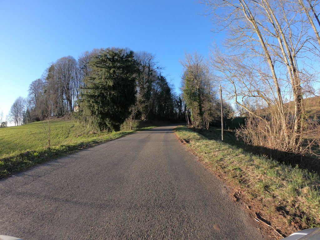 View at km 0.3