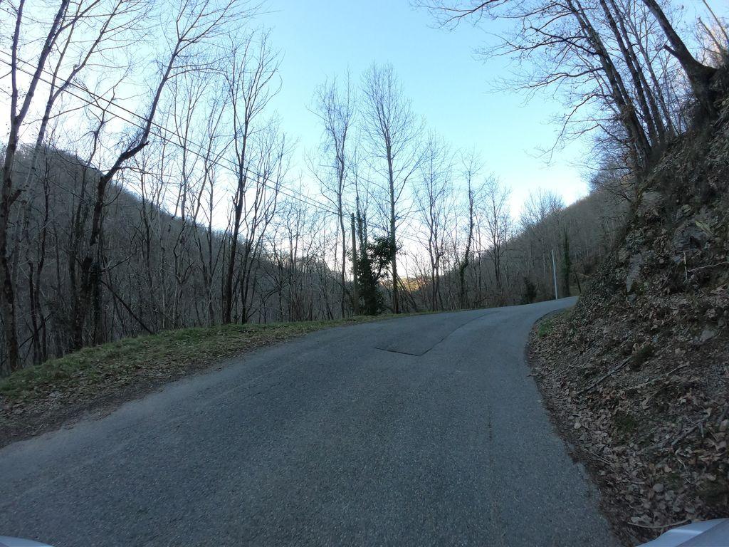 View at km 1.8