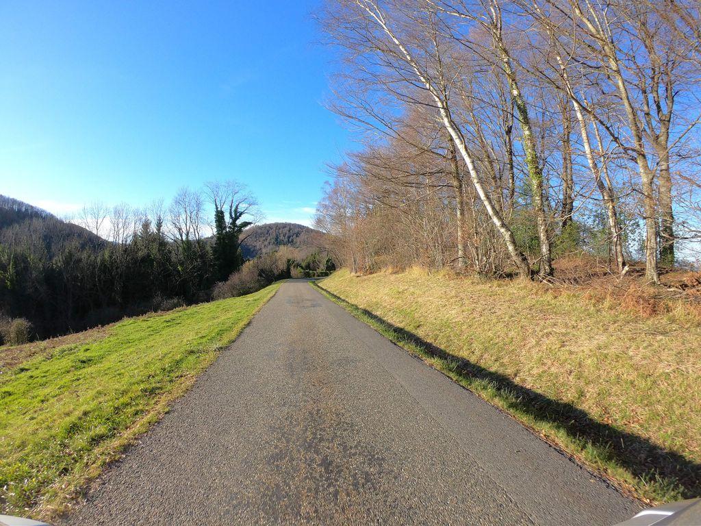 View at km 7.4