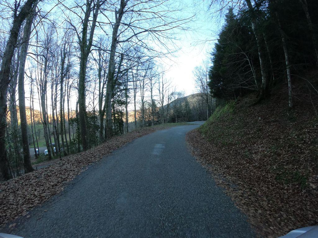 View at km 8