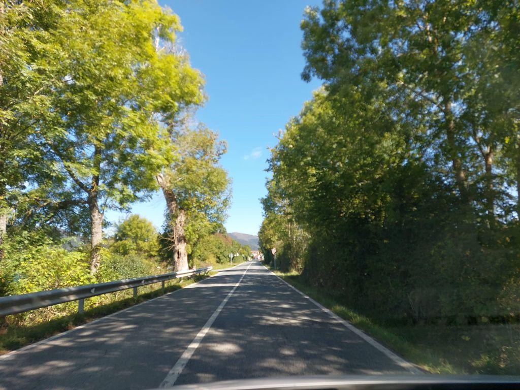View at km 0.3