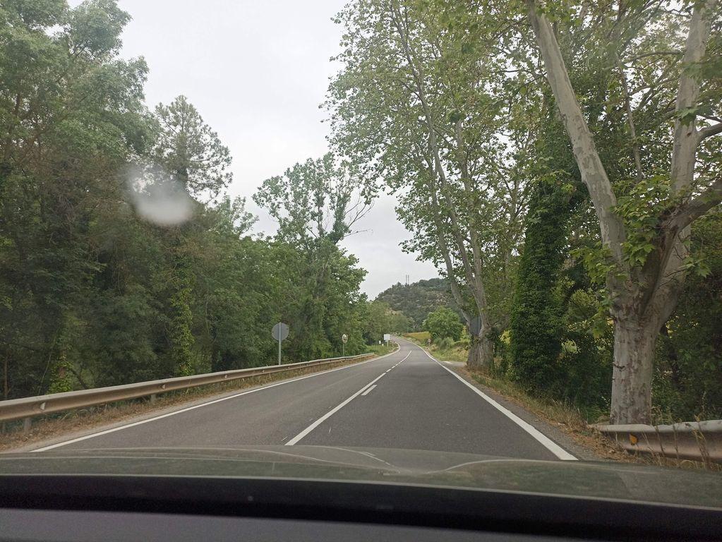 View at km 1.3