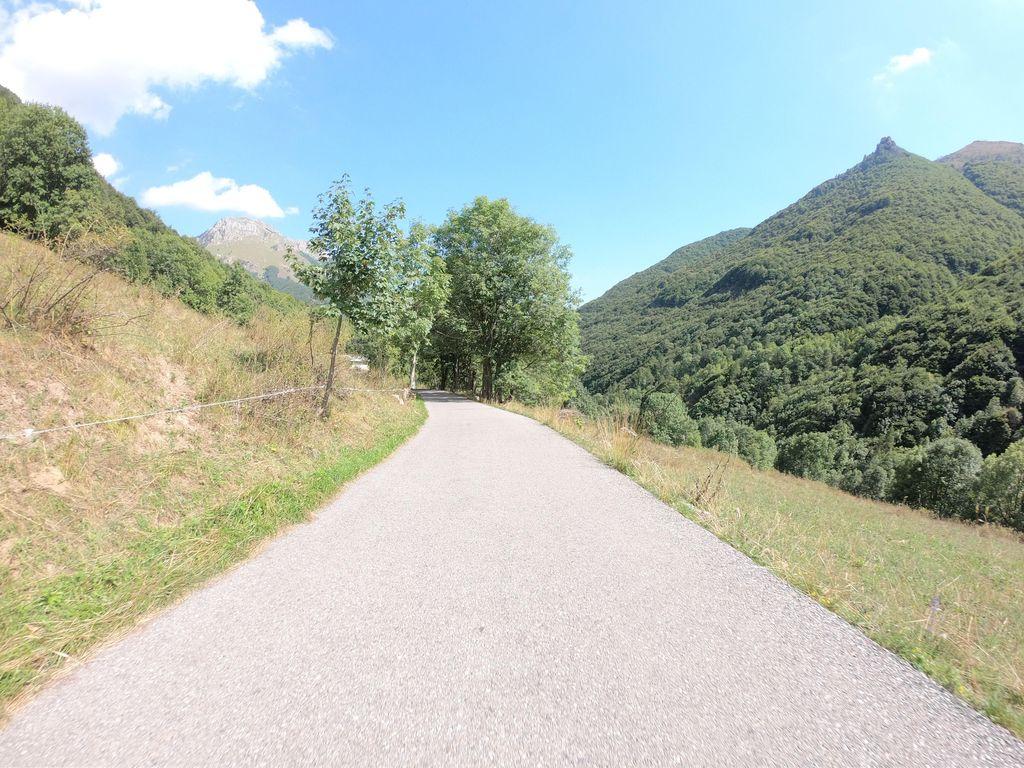 View at km 11